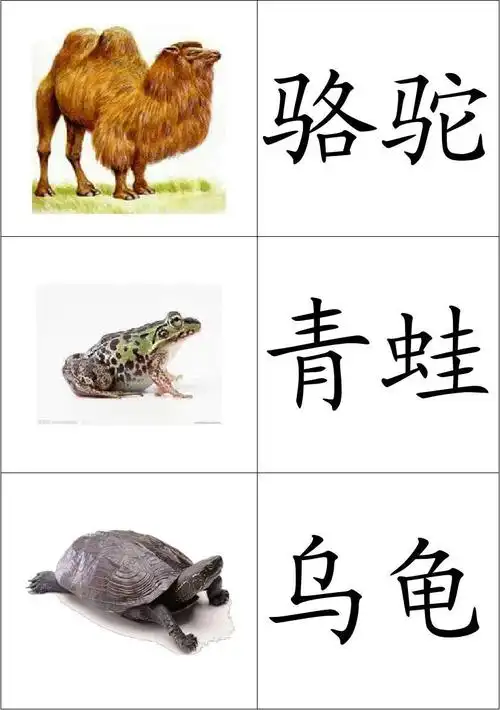 基础动物卡片(幼儿识图)