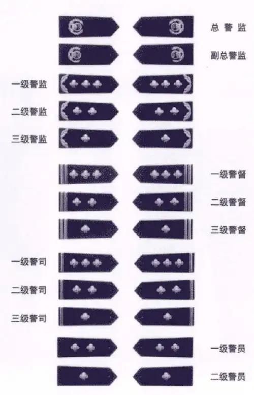 担任专业技术职务的人民警察实行下列职务等级编制警衔:10,办事员