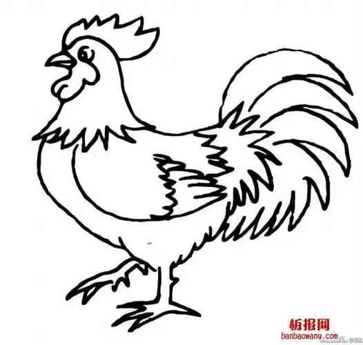 简笔画大全动物公鸡动物简笔画大公鸡