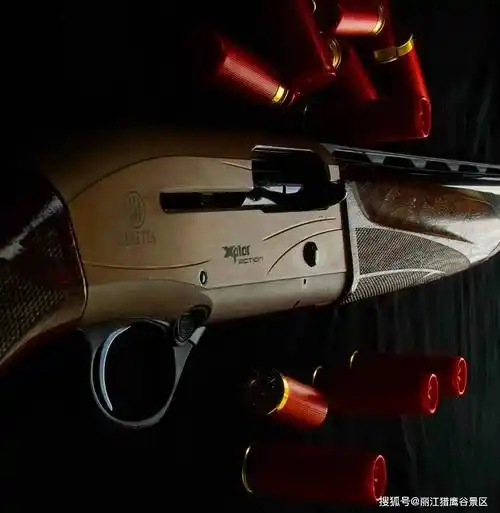 步枪之王—akm,手枪之王—伯莱塔手枪,国产名枪—健卫,峨眉步枪…等多