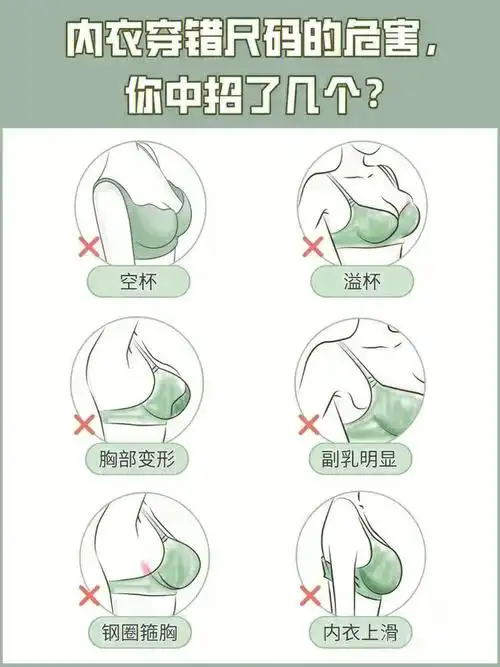 一看就会!31566步get正确测量内衣尺码!