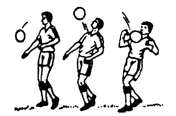 足球包括五人制足球健康体育教程