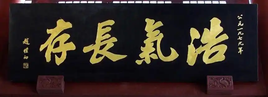 同仁堂匾额书法_费新我匾额书法_书法写匾额