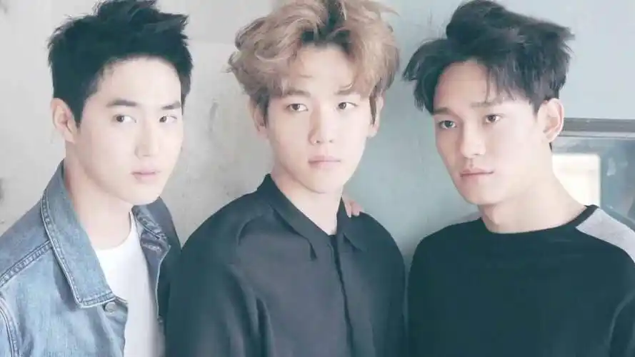 金俊勉 边伯贤 金钟大