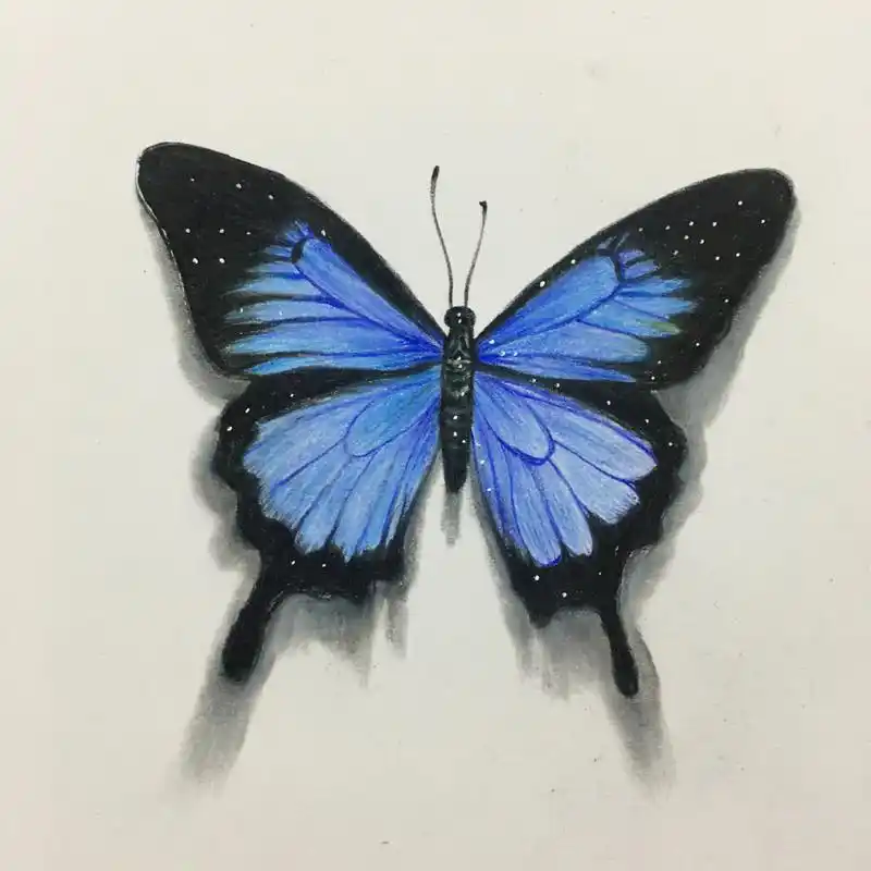 彩铅蓝色蝴蝶分享(含详细绘画过程图) 熟悉的颜色又上线咯 喜欢记得给