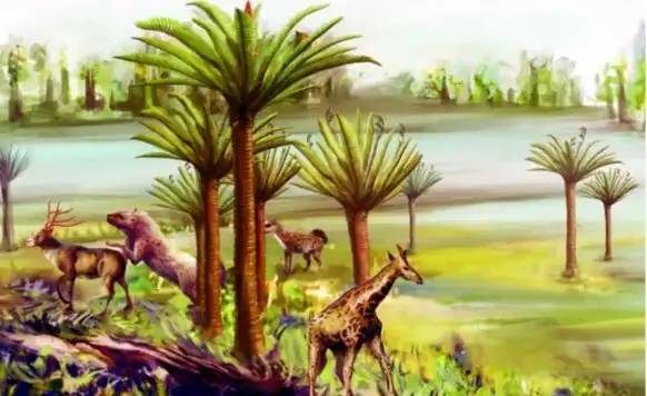 山东山旺中新世生物群