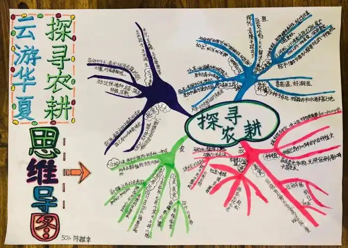 云游华夏,不一样的精彩 ——天长世纪小学"云游华夏