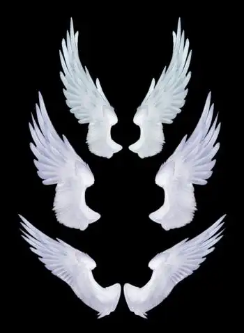 天使白色羽毛翅膀