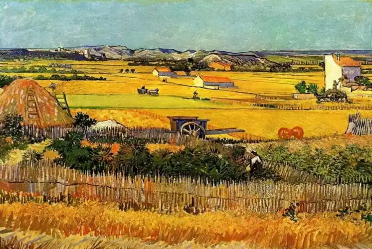 肢体剧梵高的麦田上海站时间地点门票价格