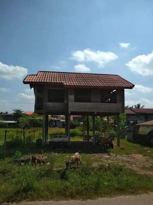 老挝人的生活 (四) 一一 农村