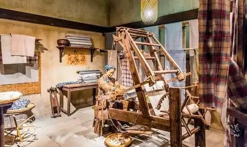 我们是如何获取蚕丝的?它为什么可以制作成丝绸?