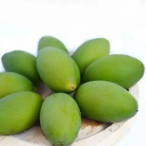 p>青橄榄(chinese white olive)(学名:canarium album raeusch.