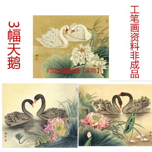 有步骤图工笔画打印白描底稿3幅天鹅初学者临摹勾线上色练习