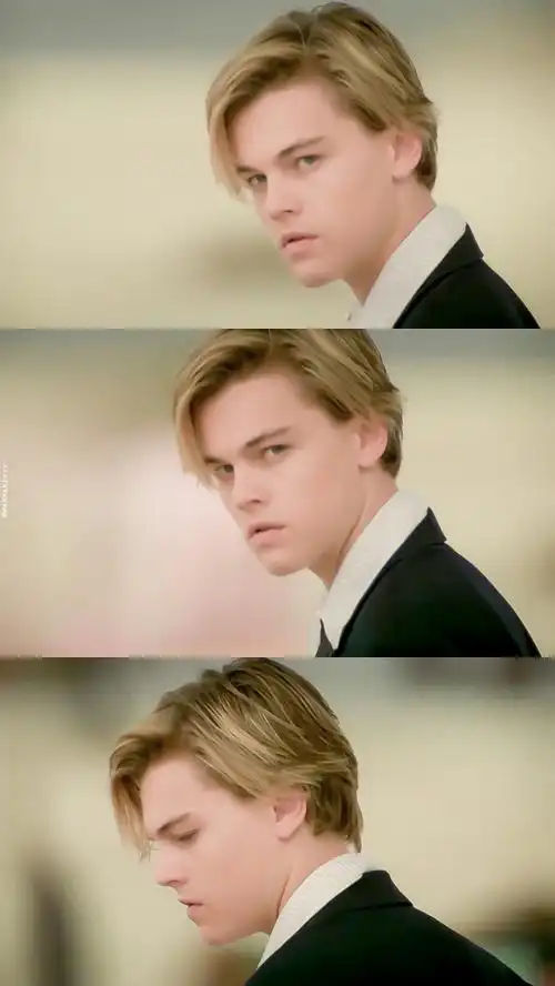 小李子 莱昂纳多