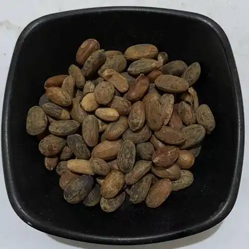 【中药材纯巴豆仁包邮1000g***巴豆仁原材料新货无壳】价格_厂家-中国