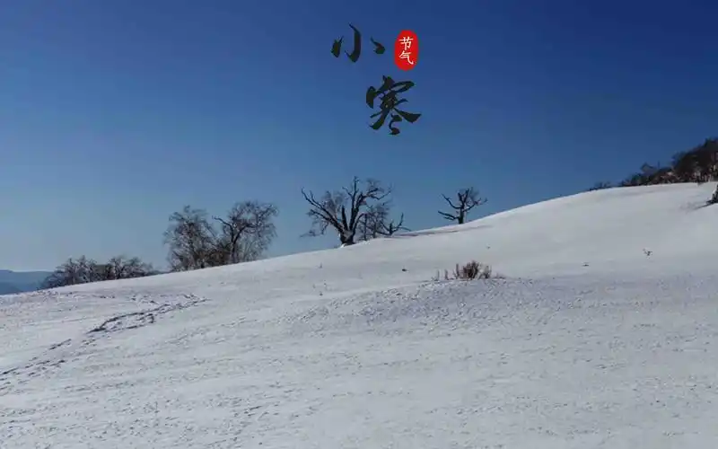 小寒节气迷人雪景风光