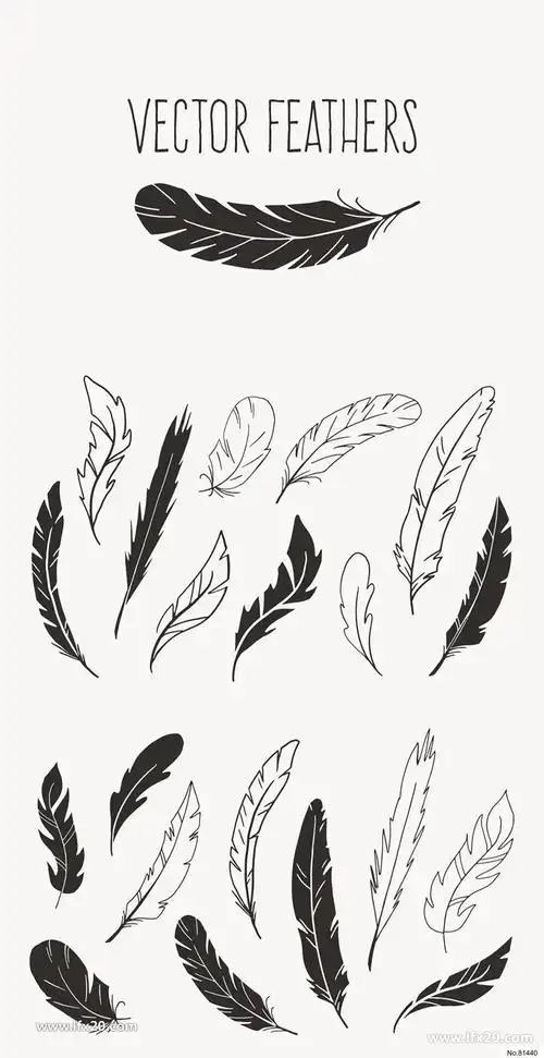 20种样式的手绘羽毛矢量图形ai
