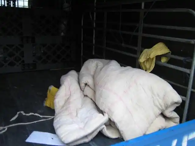 厚厚棉被理面, 不是冬眠的动物, 而是我们此次运送的物品 –