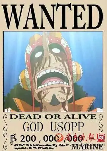 洛克vs路飞狙击王:狙击王 [sogeking],乌索普(骗人布)[usopp]娜美悬赏