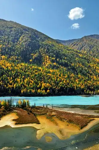 圆梦新疆 (三)喀纳斯