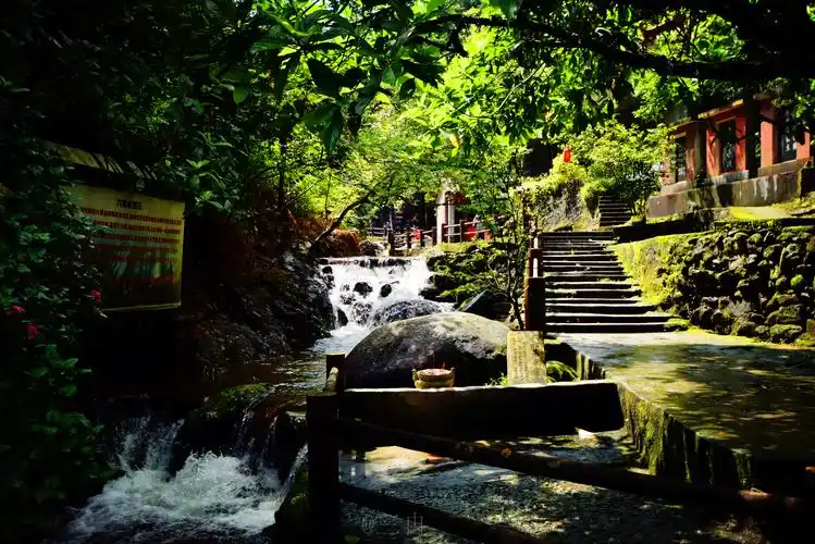 1/ 9 天露山林场 云浮市-新兴县-里洞镇黄窝村委天露山林场 全年8:00