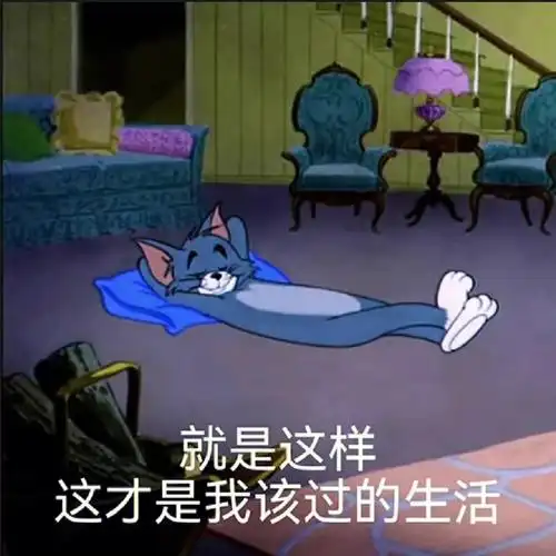 养了猫才知道这个表情包有多写实