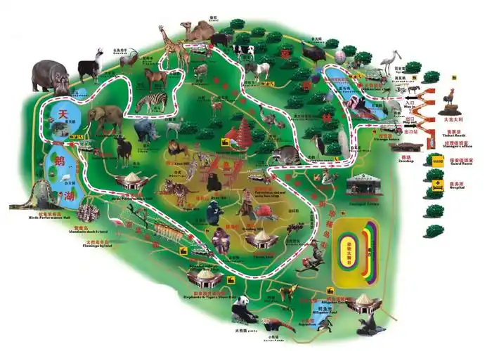 深圳野生动物园是中国第一座集动物,森林,植物,科普等多种特色和观赏