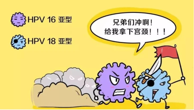hpv16,18亚型感染有多严重?