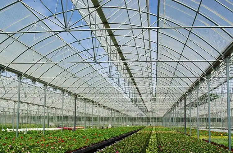 蔬菜温室大棚