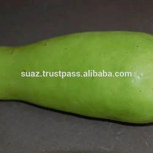 calabash , bottle gourd , white-flowered gourd