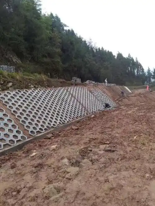 河道六边形护坡模具 六角砖护坡模具 六棱砖护坡模具