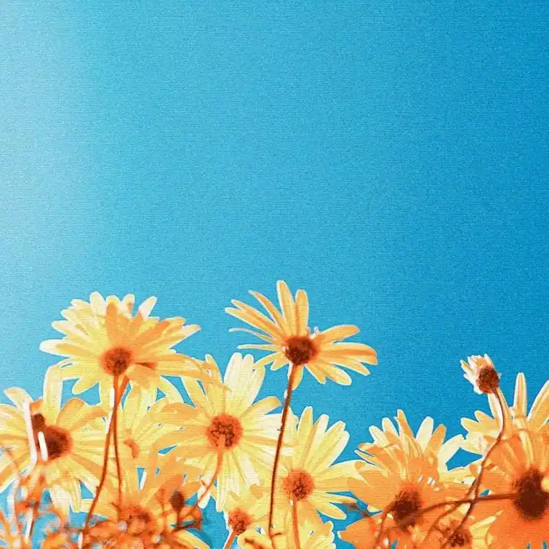 微信背景图丨朋友圈背景图ins唯美超清微信封面图