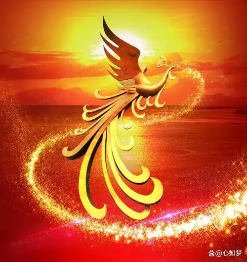 小凤凰的美好愿望