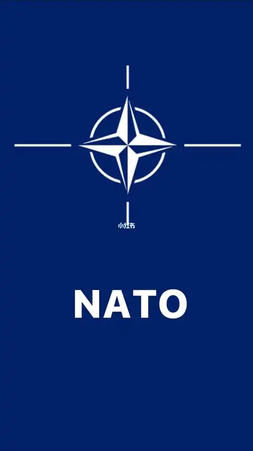 北约是个什么组织