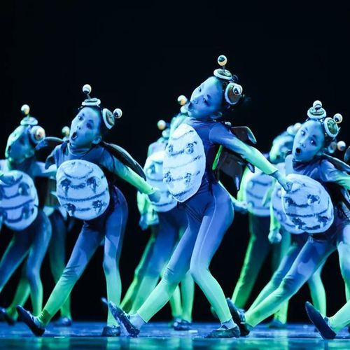 新款小荷风采儿童坚持不懈舞蹈演出服卡通小动物造型螃蟹表演服装