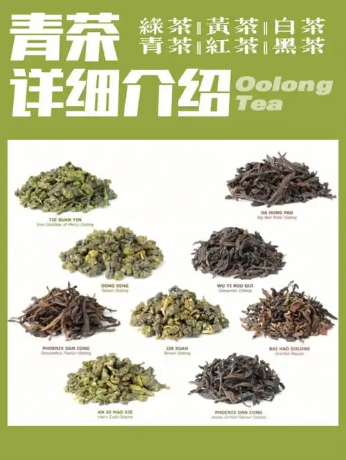 茶知识一分钟了解青茶oolong