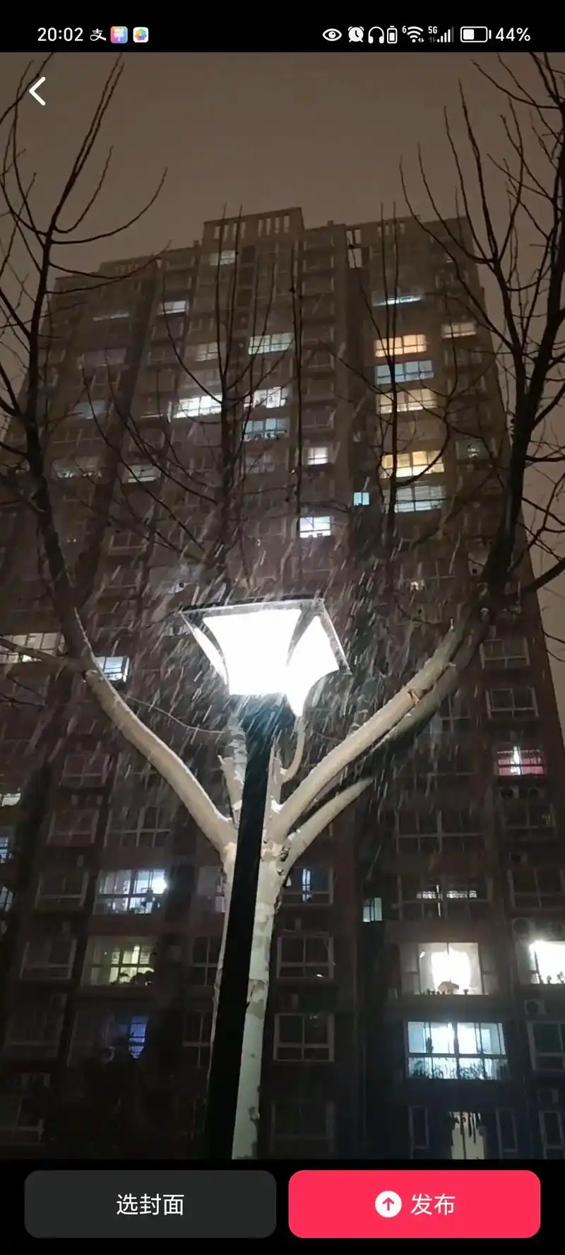 漫天飞雪,如梦似幻.雪后的世界,宁静而唯美. - 抖音