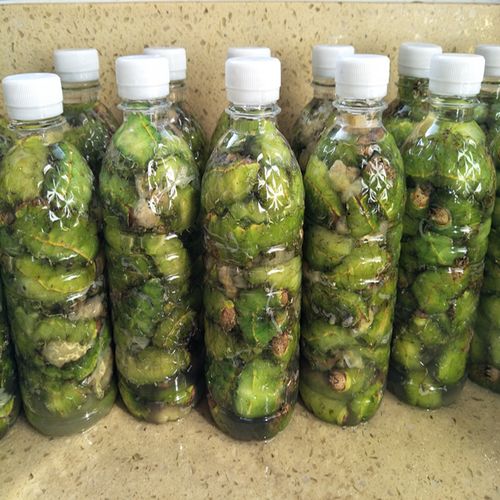 大连步云山蚕 大青蚕 冻蚕 速冻青蚕 500克一瓶 3瓶78元包邮