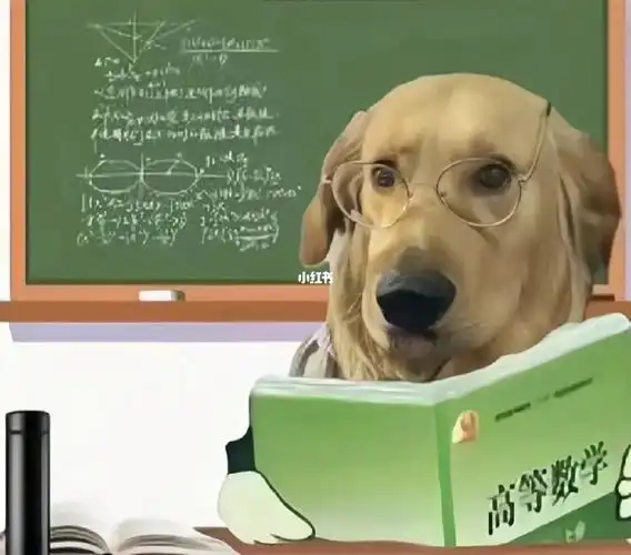 学高数的痛苦小狗98