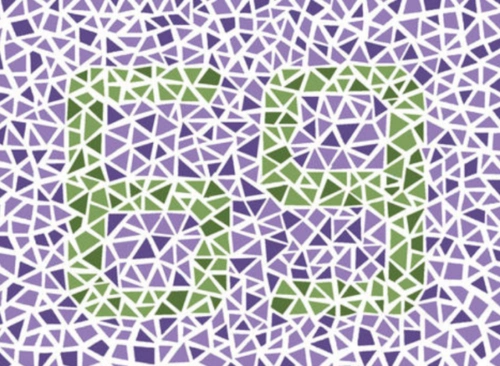 4张色盲测试图识别不出里面的数字考取驾驶证无望