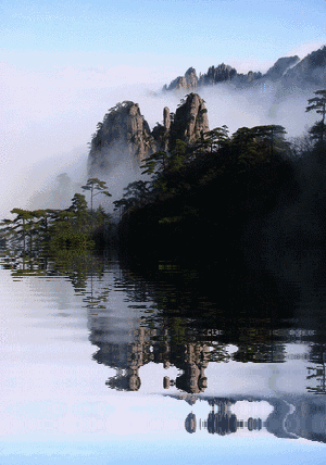 300_428竖版 竖屏gif 动态图 动图