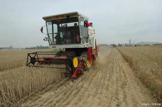 收割机割麦污染环境,刷新当代人的认知,凡事请莫拿农民开玩笑
