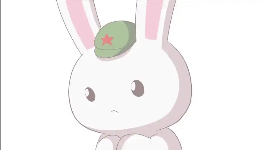 那年那兔那些事 自截