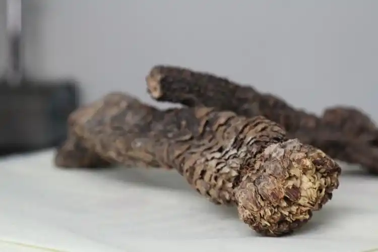 苁蓉的保存方法 苁蓉怎么保存 - 311品牌大全