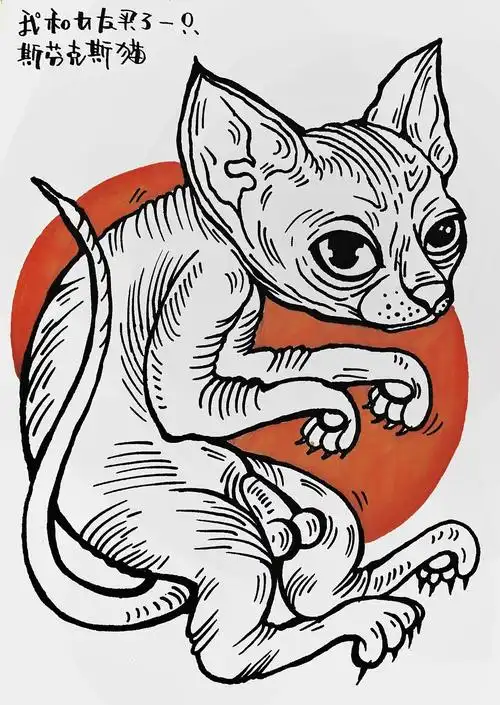 我和女朋友买了一只斯芬克斯猫.