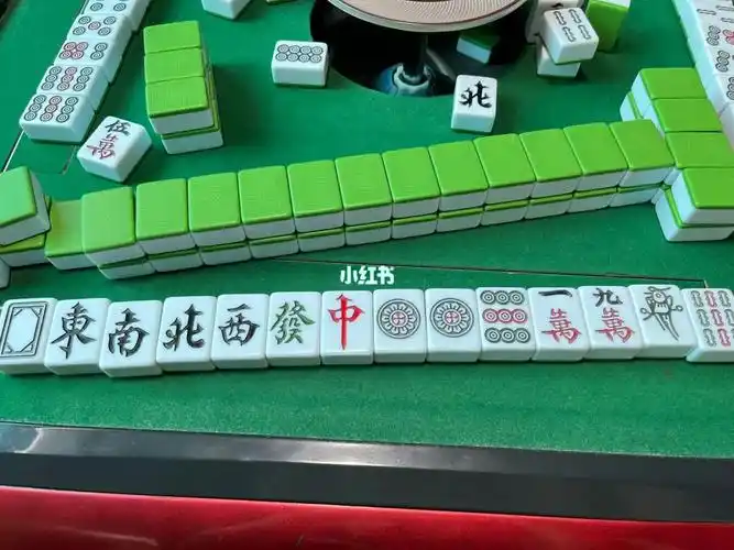 纪念一下人生中的第一把十三幺05#人生第一次  #麻将  #十三幺