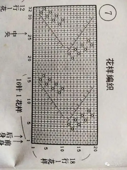 叶子花典雅大方花袖子套头衫有编织图解
