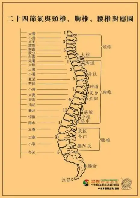 二十四节气脊椎穴位调理法