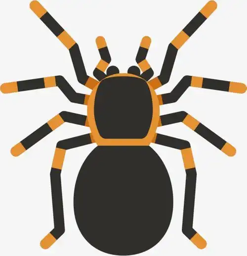 可爱的蜘蛛彩色简笔画 简笔画图片大全-普车都