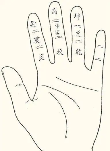 每根手指都分三节,给这三节分别标上名称:因此将手指分三节,刚好固定